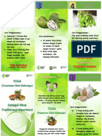 PDF Leaflet Toga - Compress