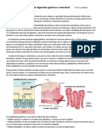 Digestión Gástrica e Intestinal