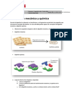 P6 - CNA - La Digestion Mecanica y Quimica