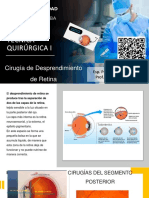 Clase N°74. Desprendimiento de Retina PDF