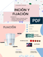 Tinción y Fijación