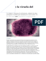 Origen de La Viruela Del Mono