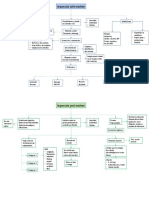 Mapa Conceptual Ante y Post Mortem