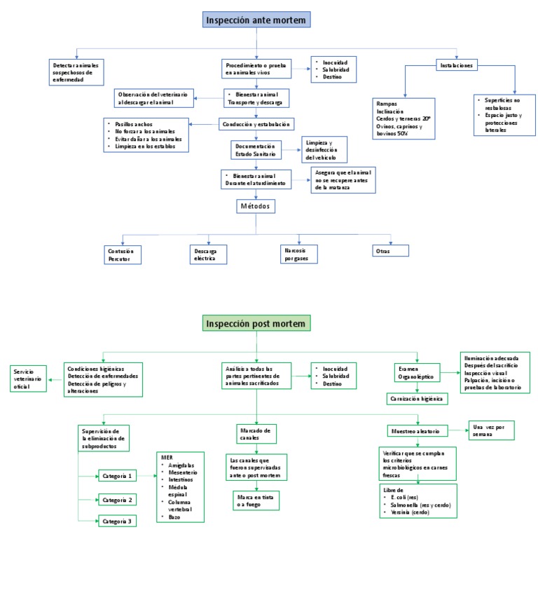 mapa-conceptual-ante-y-post-mortem-pdf-industria-de-alimentos