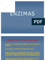 ENZIMAS