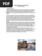 Museo Guggenheim de Bilbao