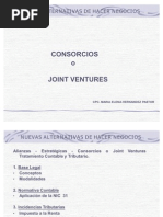 Consorcios Curso Dogma[1]