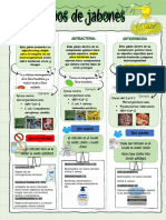 Tipos de Jabones y Lavados