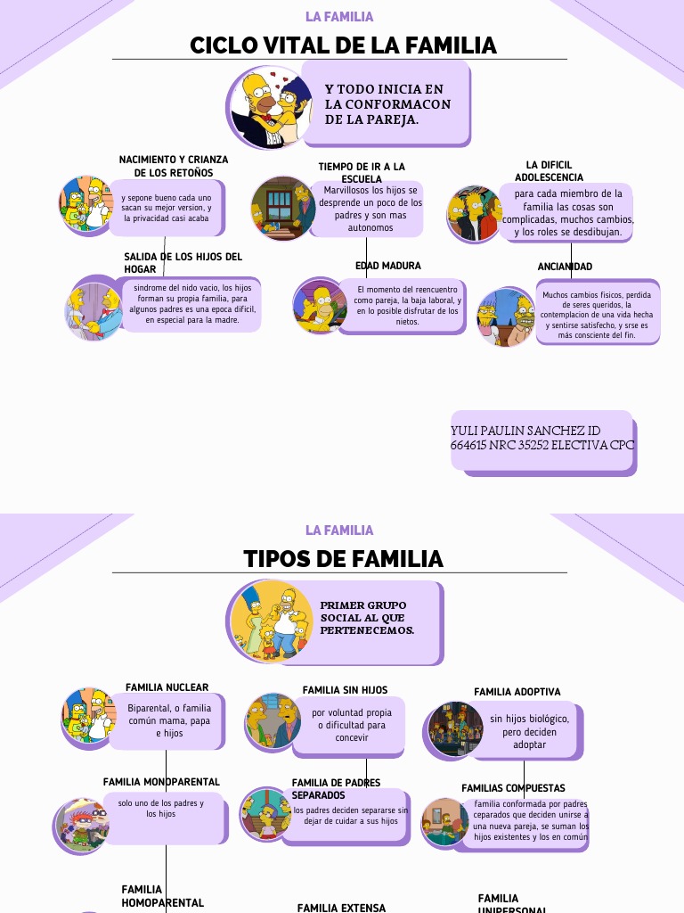 Caracteristicas De La Familia De Windows