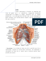 PNEUMOLOGIA - Nosso Resumo