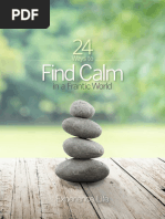 Find Calm: in A Frantic World
