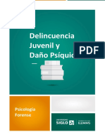 Delincuencia Juvenil y Daño Psíquico