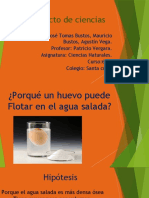 Proyecto de Ciencias