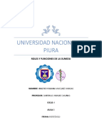 UNIVERSIDAD NACIONAL DE PIURA