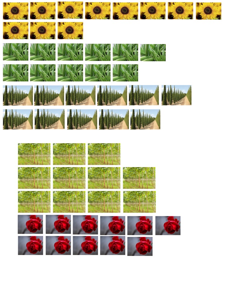 Tema II Gambar Bunga | PDF