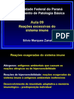 Reações excessivas do sistema imune: tipos e mecanismos