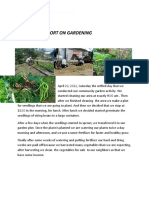 Narrative Report On Gardening