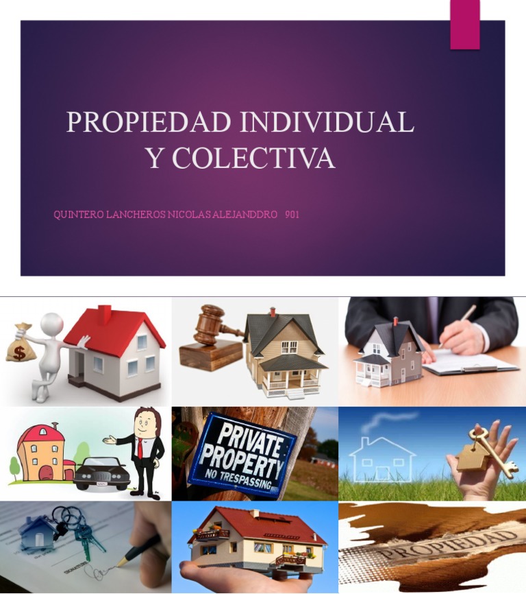 Derecho Propiedad Individual y Colectiva (Metodologia) PDF