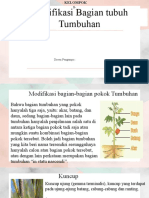 Kelompok 5 Biologi Sel - Virus Dan Membran-1-1