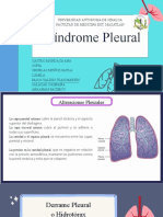 Derrames pleurales: causas, tipos y tratamiento