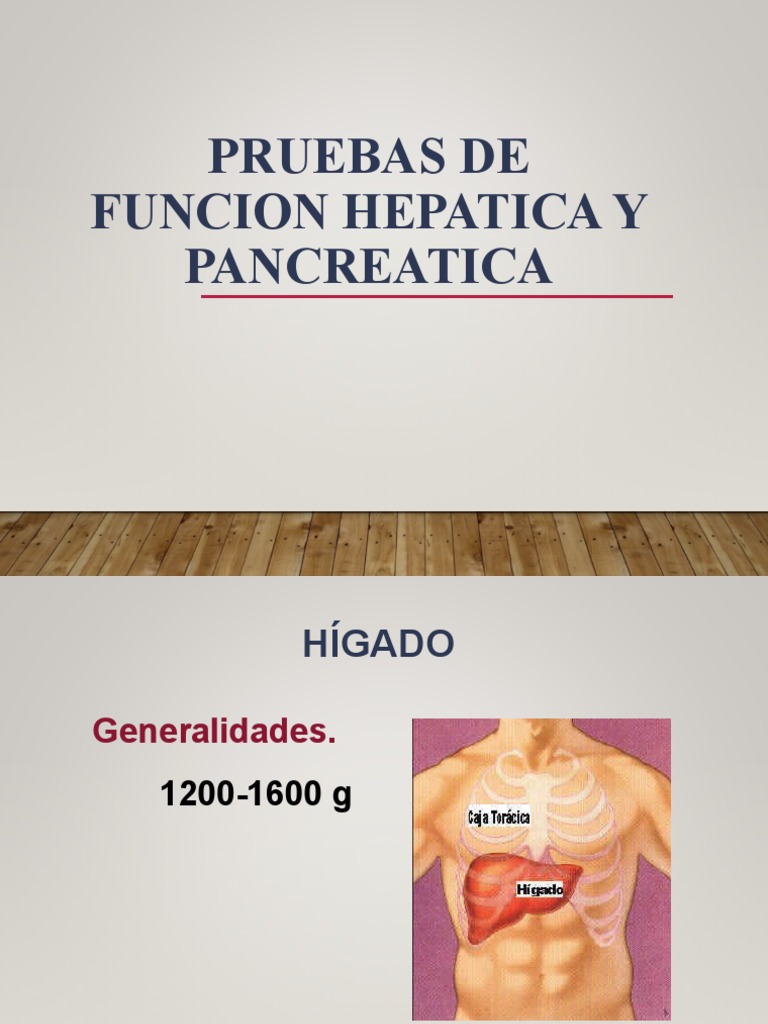 Pruebas de funcion hepatica y pancreatica pdf transaminasa p ncreas