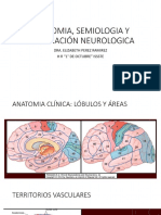 Anatomia, Semiologia y Exploracion Neurológicas