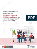 Lineamientos II Simulacro Nacional Multipeligro 