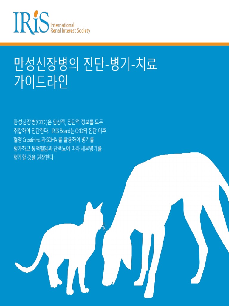 Iris Pocket Guide KR PDF