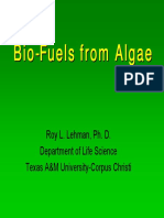 Bio - Fuels From Algae