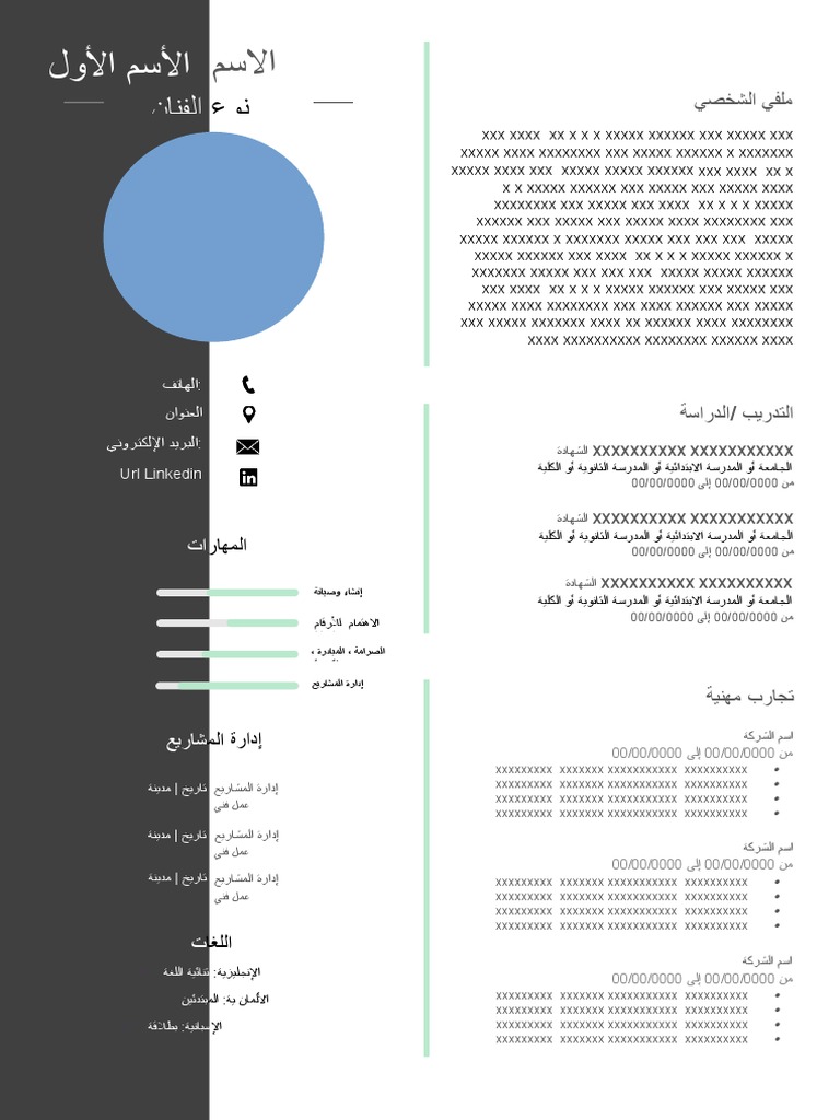 70 CV Template Artist | PDF