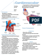 Sistema-Cardiovascular Circulatorio