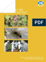 The Honey Bee Health Strategy: For A Sustainable and Healthy Population of Honey Bees