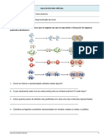 Ficha 17_9ºano