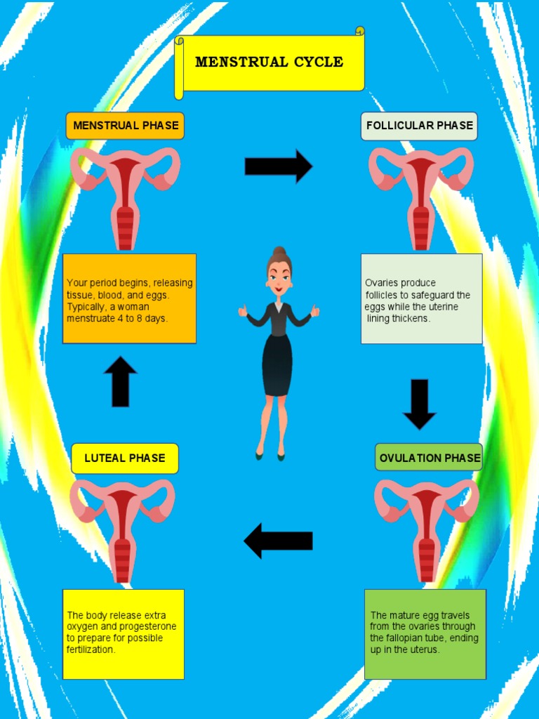 Infographics of Menstrual Cycle | PDF