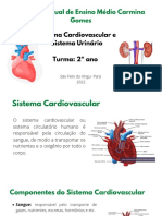 Sistema Cardiovascular e Sistema Urinario