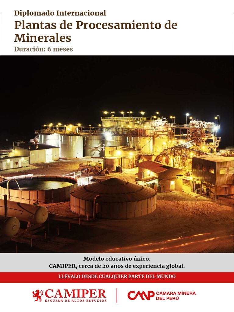 Diplomado Plantas de Procesamiento de Minerales Diseno y Operacion F ...