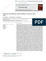 Mechanisms Underlying Reduced Fertility in Anovular Dairy Cows