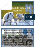 Inmunidad Del Feto y Del Neonato PA INVIAR POR INTER (1)