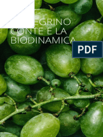 Pellegrino Conte e La Biodinamica 202012 3