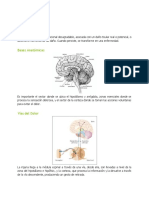 Copia de Clase 11 Farmacología Humana II - Dolor, AINES y Opioides (05.12.2016)