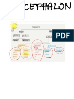 7.0 (Micro Mynotes Prelim 2) Diencephalon - Thalamus, Hypothalamus