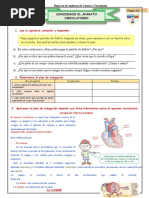 Ficha de Trabajo: Sistema Circulatorio | PDF
