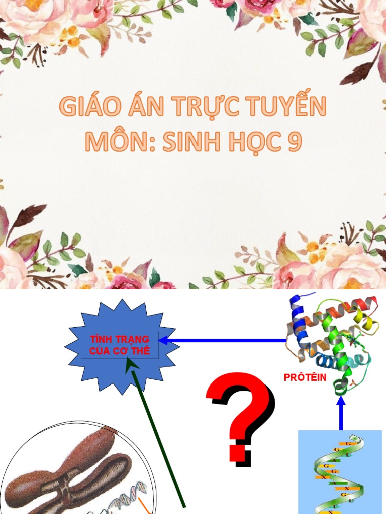 Bai 19 moi quan he giua gen va tinh trang pdf
