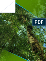 Cover Hijau Pohon Alam Papua