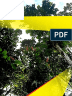 Cover Hijau Pohon Papua Alami