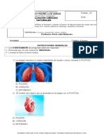 EVALUACIÒN CIENCIAS 2 FUNCIONES DEL CUEPO HUMANO