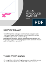 Reproduksi Manusia