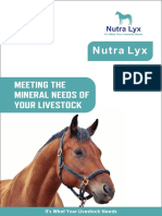 Nutra Lyx Horse