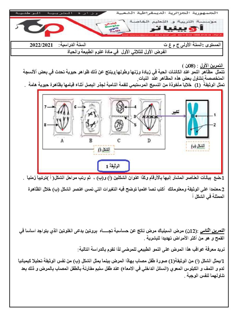 Dzexams 1as Sciences 877462 | PDF