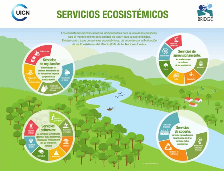 Servicios Ecosistemicos | PDF